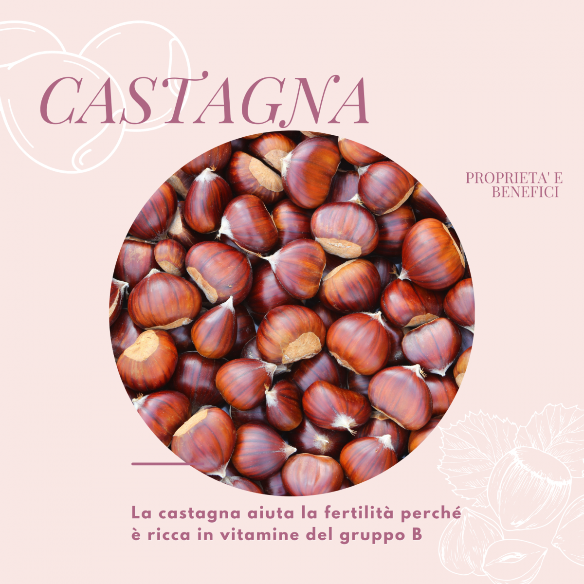 La-castagna-aiuta-la-fertilità-perchè-è-ricca-in-vitamine-del-gruppo-B-1200x1200.png