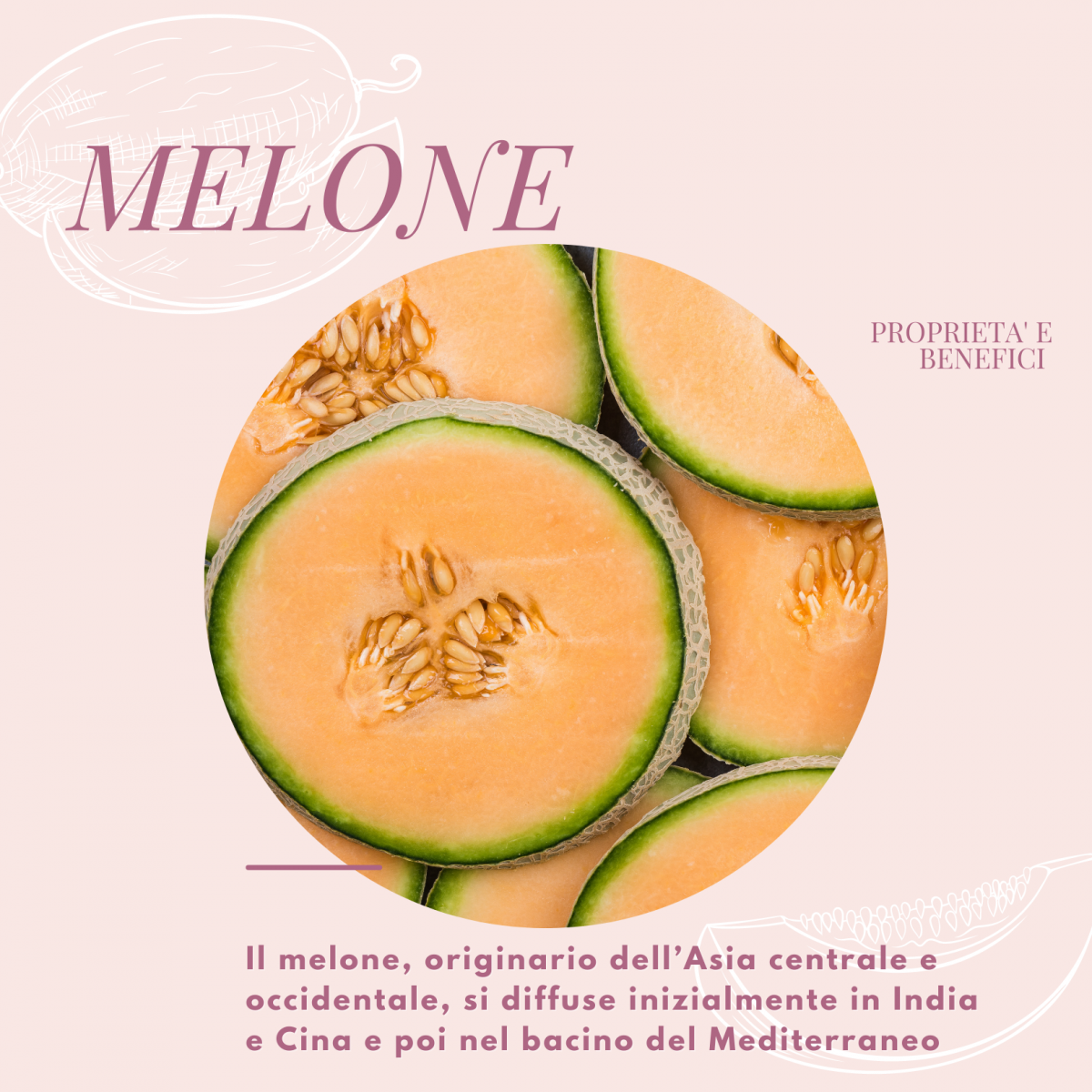 Il-melone-proprietà-e-benefici.-I-consigli-delle-nutrizioniste-B-Woman-1200x1200.png