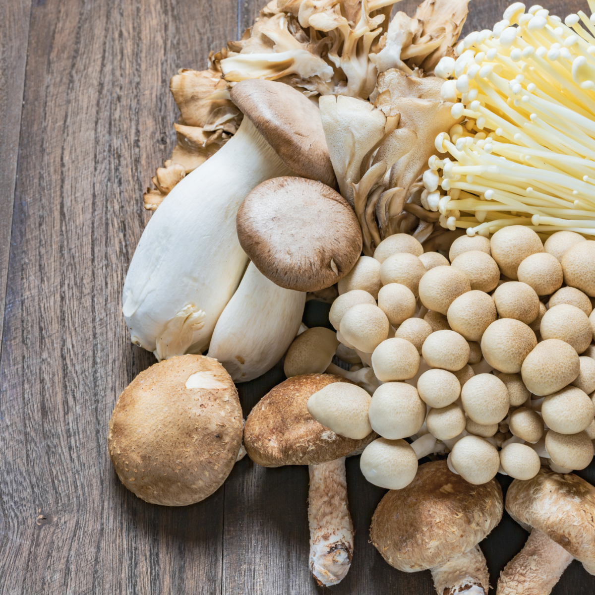 I-funghi-scopriamo-insieme-i-loro-poteri-nutritivi-1200x1200.png